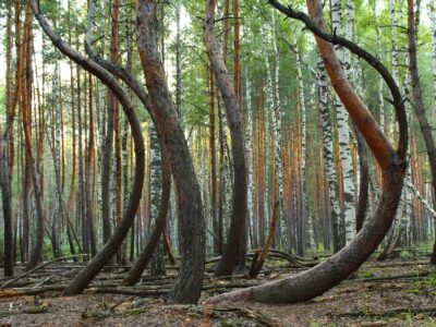 Moderní řešení úzkosti a dalších duševních těžkostí
