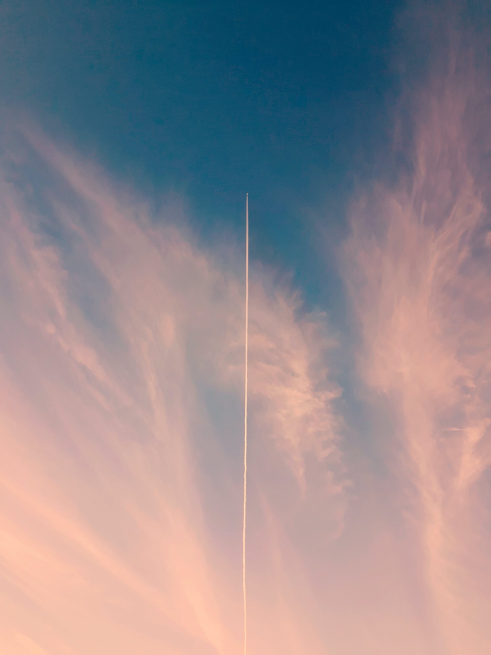 pexels-edgar-hernandez-783944